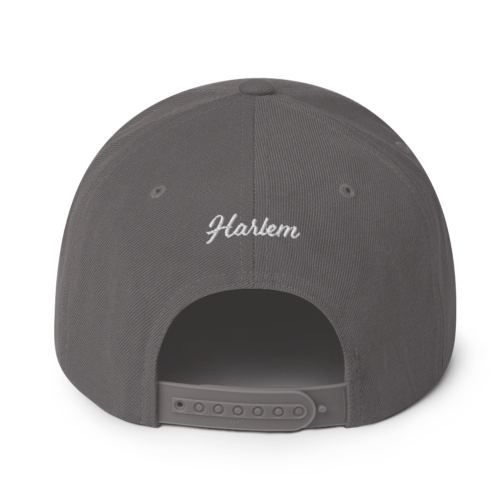 21st logo Snapback Hat