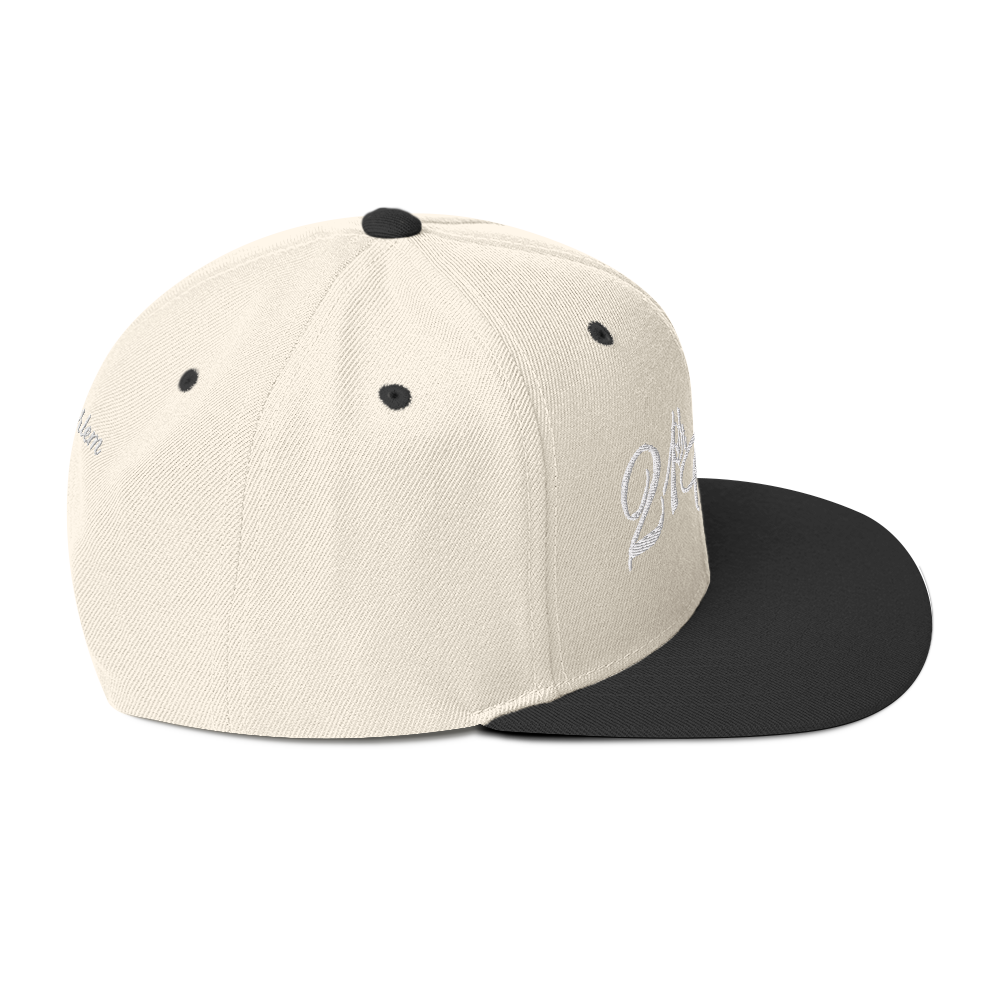 21st logo Snapback Hat