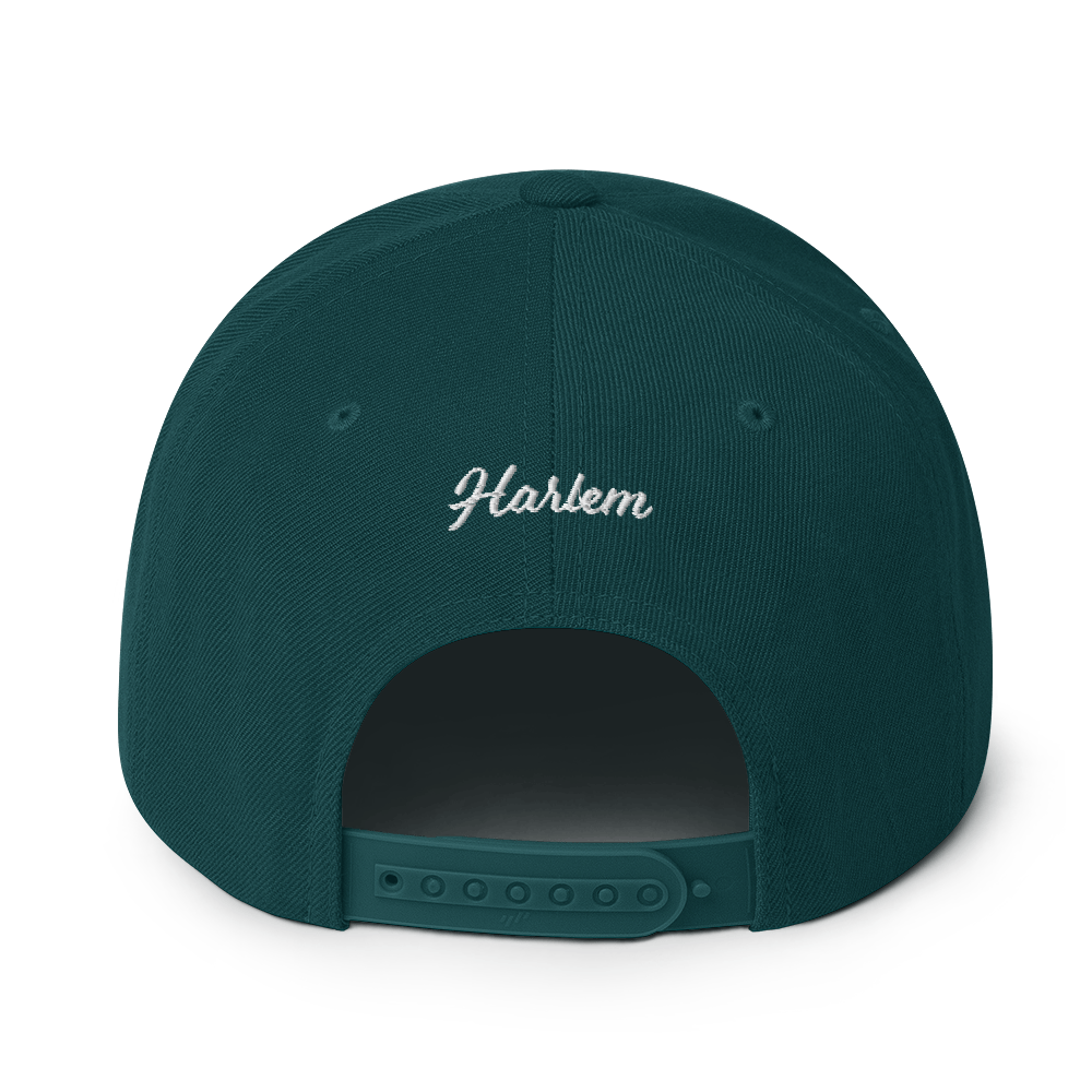 21st logo Snapback Hat